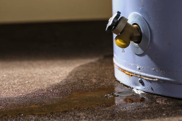 Best 24/7 water damage repair  in North Weeki Wachee, FL
