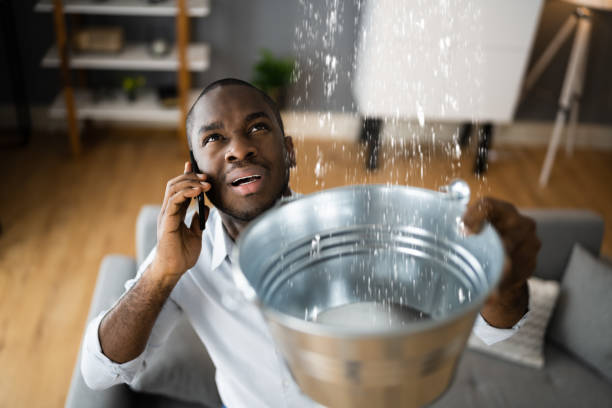 Best Emergency water damage restoration  in North Weeki Wachee, FL