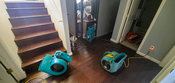 Best Sewage cleanup and water damage restoration  in North Weeki Wachee, FL