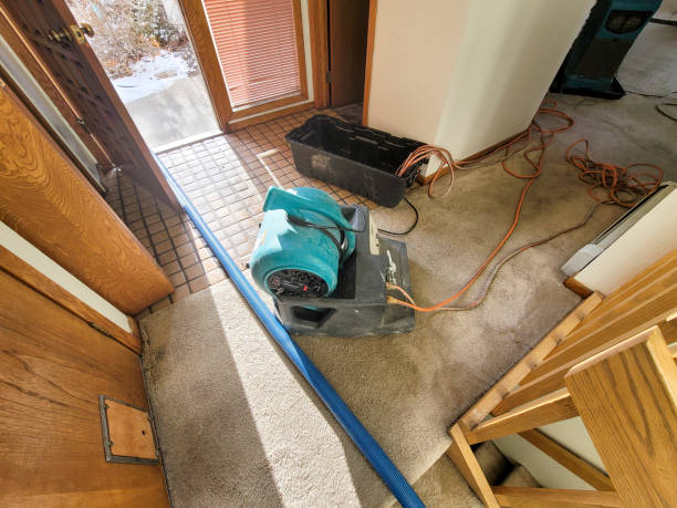 Best 24-hour water damage restoration  in North Weeki Wachee, FL