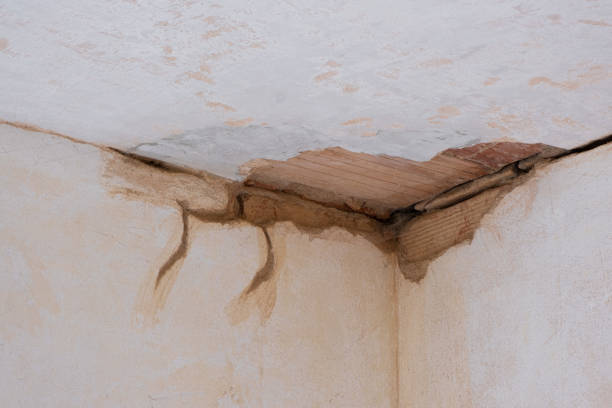 Best Basement water damage restoration  in North Weeki Wachee, FL