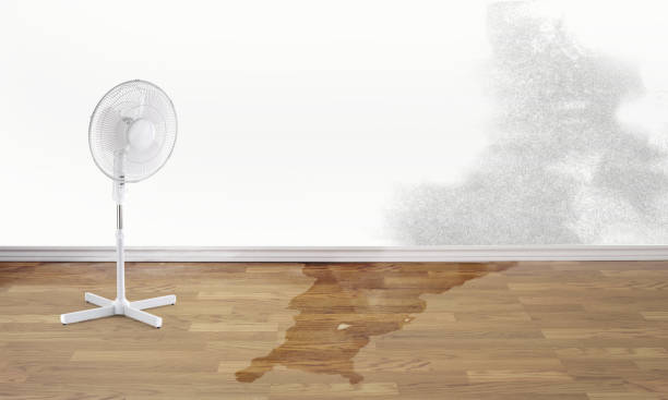 Best Residential water damage restoration  in North Weeki Wachee, FL