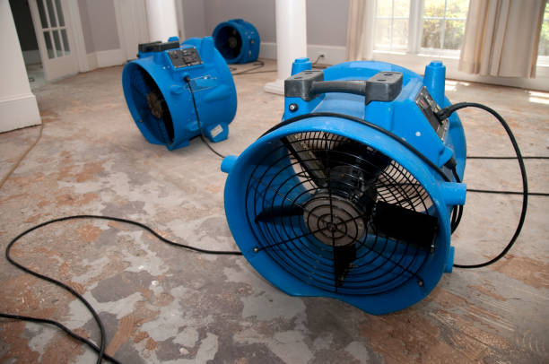 Best Water damage restoration near me  in North Weeki Wachee, FL