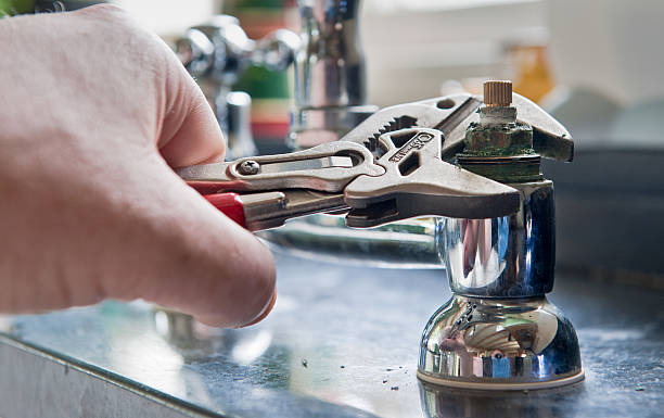 Best Local water damage restoration  in North Weeki Wachee, FL
