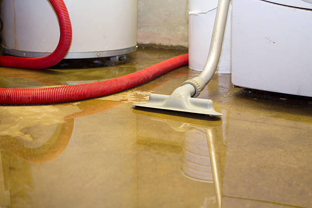 Best Flooded house restoration  in North Weeki Wachee, FL
