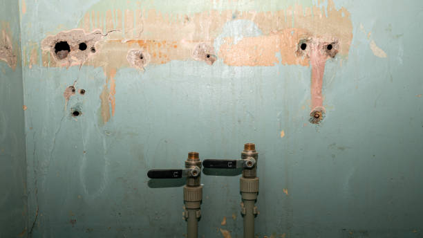 Best 24-hour water damage restoration  in North Weeki Wachee, FL