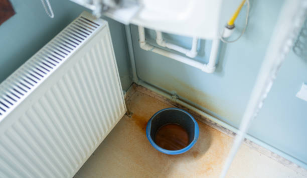 Best Flood restoration services  in North Weeki Wachee, FL