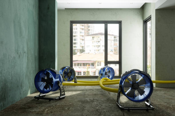 Professional Water damage restoration in North Weeki Wachee, FL